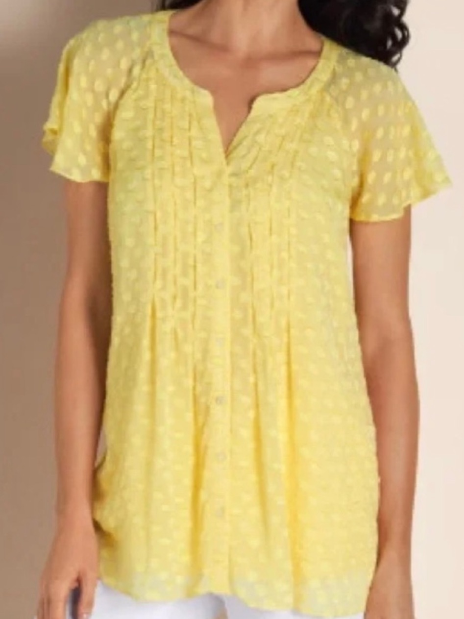 Soft Surroundings Sheer Lime Yellow Silk Blend Blouse Womenâs Size Xl